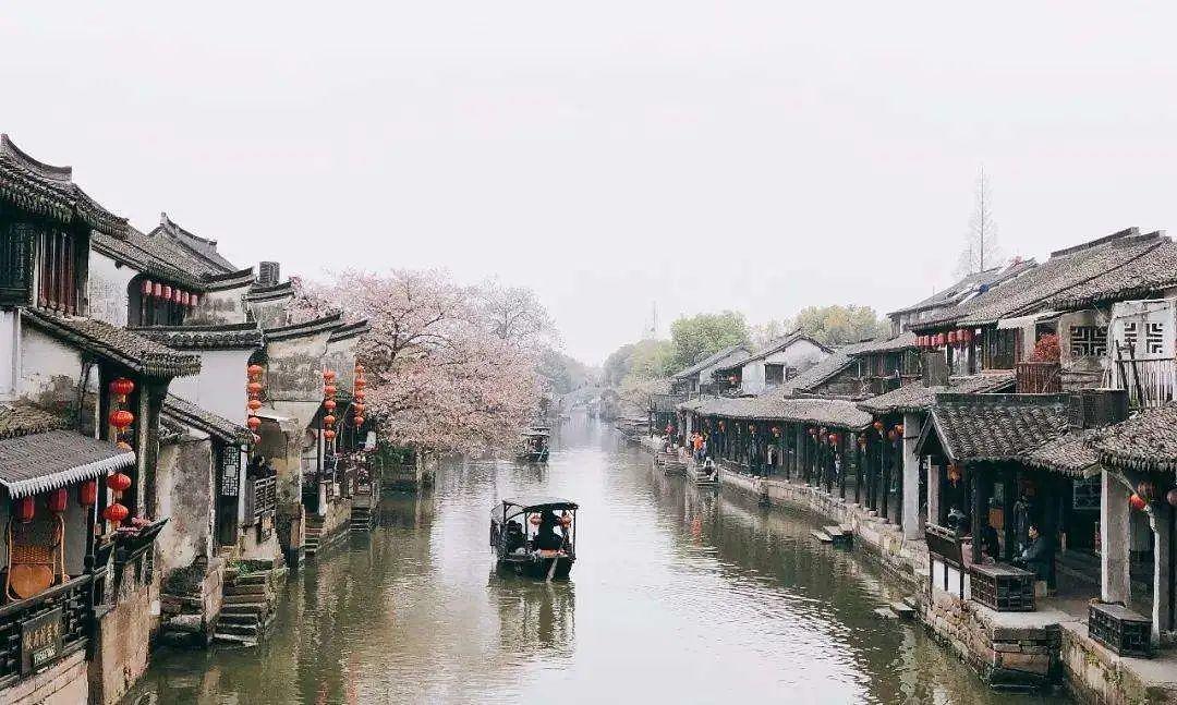 救援海盗章鱼